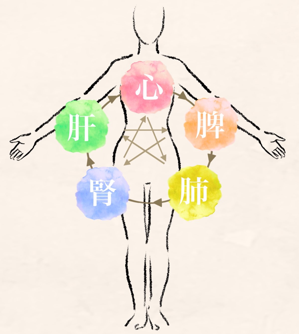 自律神経（エネルギー整体）